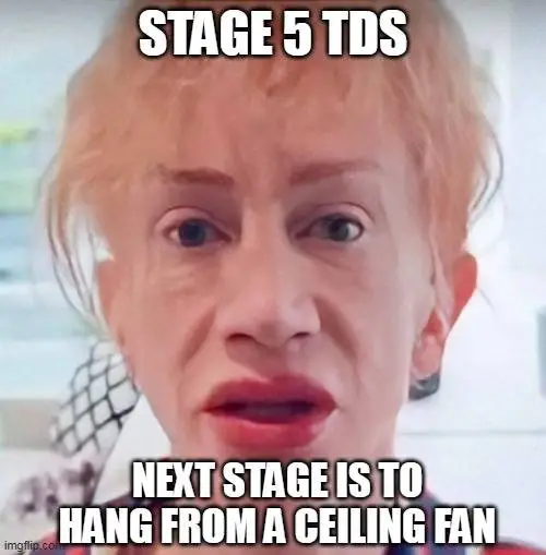 stage 5 tds 003.webp