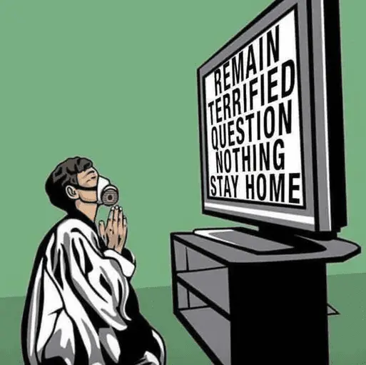 stay home.webp