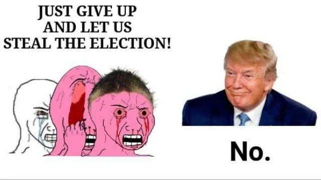 StealElectionMeme.webp
