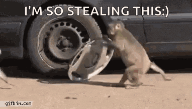 StealingMonkey.gif