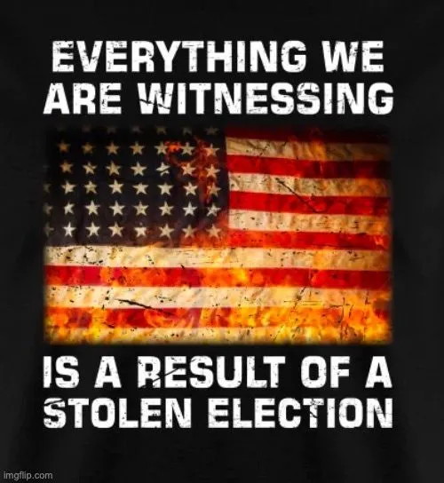 stolen election 232.webp