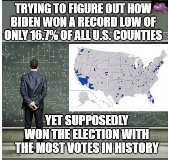 stolen election 7.webp