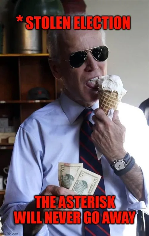 stolen election asterisk.jpg