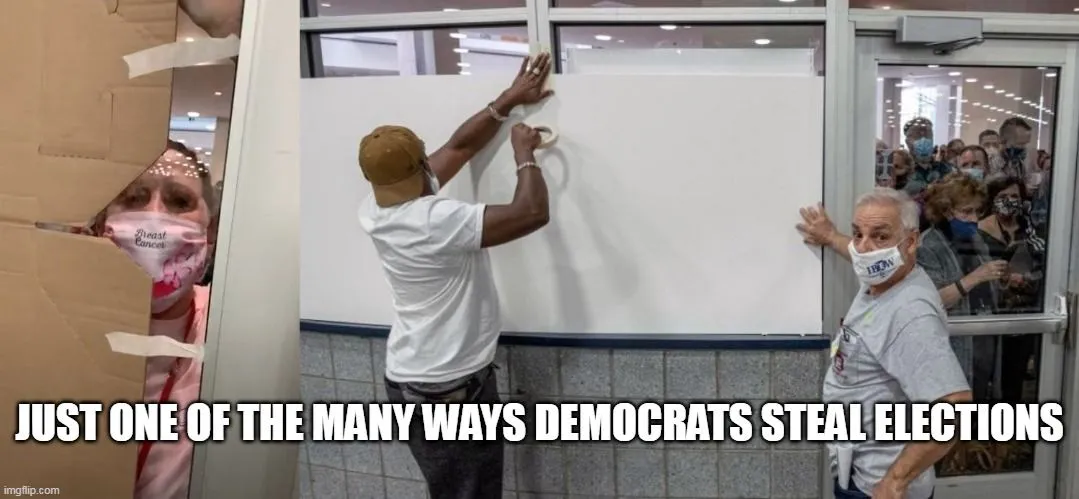 STOLEN ELECTION WAYNE DETROIT.webp