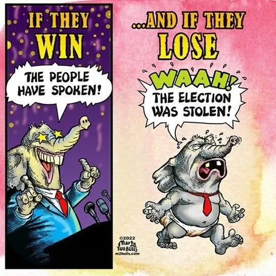 Stolen Elections.webp