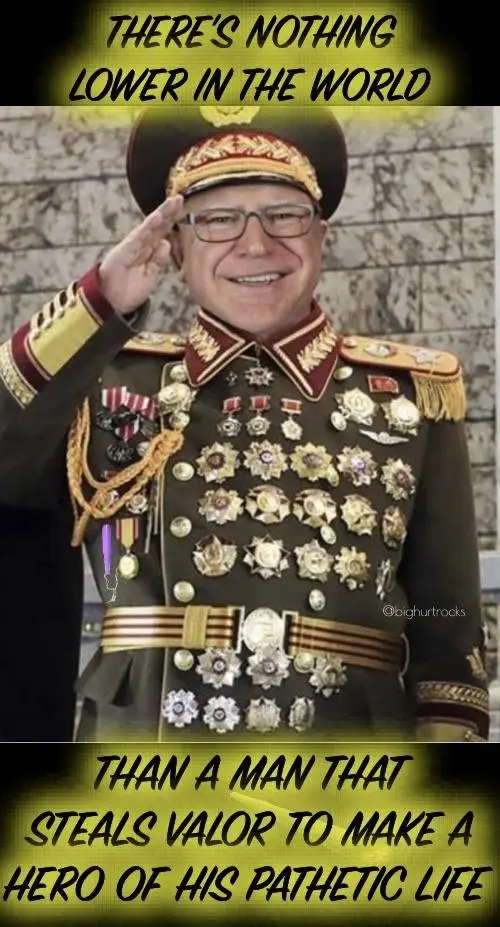 stolen valor 9934.webp