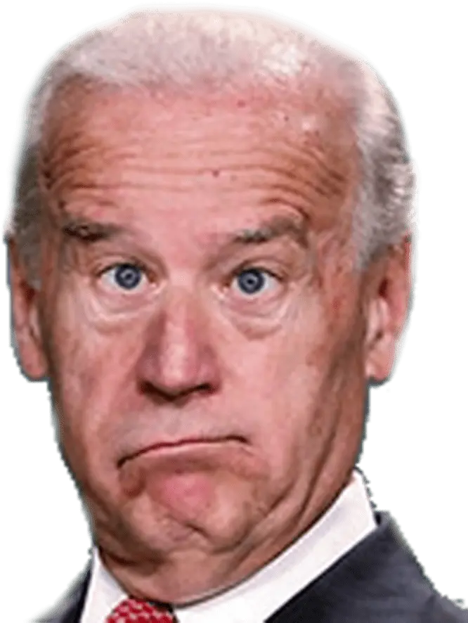 Stupid Biden.webp