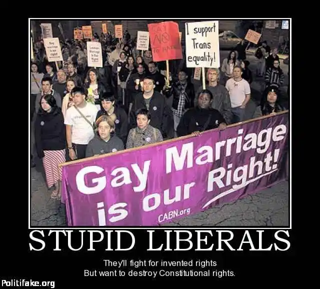 stupid-liberals-dumcrats-politics-1364618036.webp
