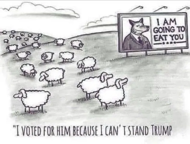 stupid Sheep Dems.jpg