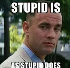 stupid.webp