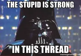 stupid.webp