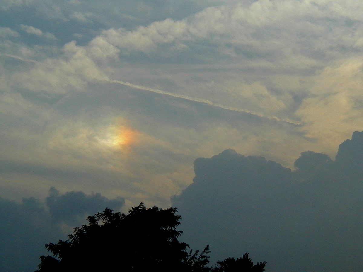 Sundog.webp