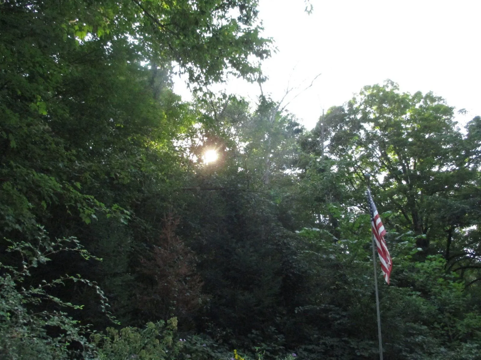 sunstorm.webp