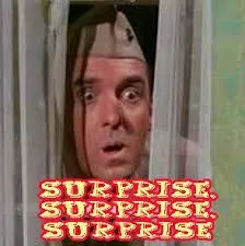 Surprise.webp