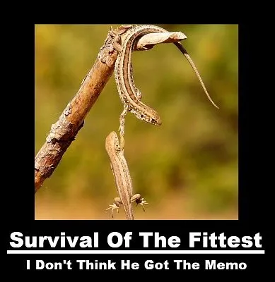 survival_of_the_fittest_by_intellectualdeviant-d4u72wq.webp