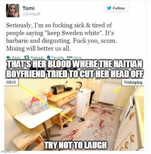 Swede racebaiter killed by black immigrant.webp