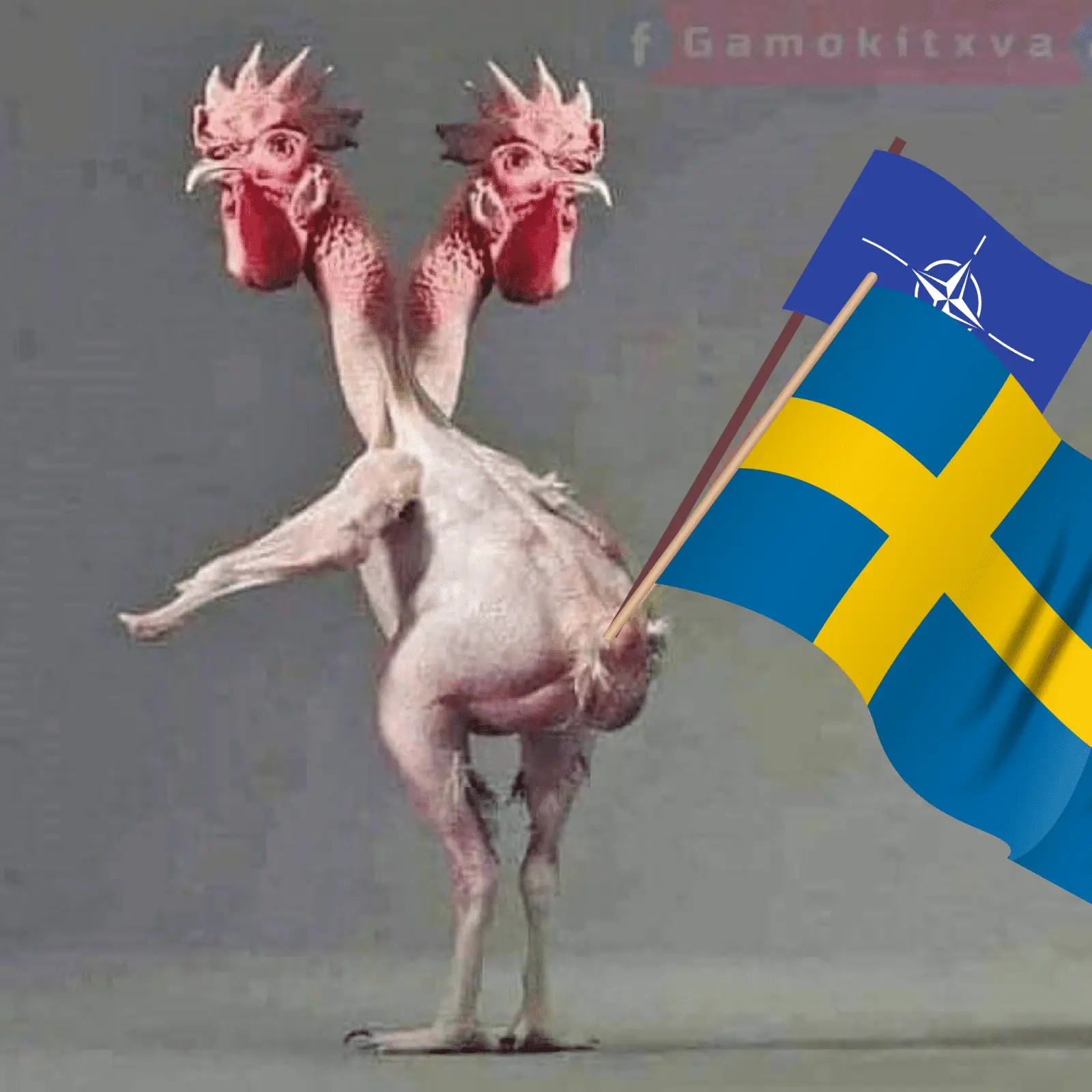 SWEDEN NATO.png