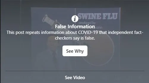 swineflureport-facebookcensors1-jpg.380183