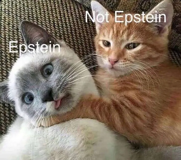 szkdsn75dhw31.webp