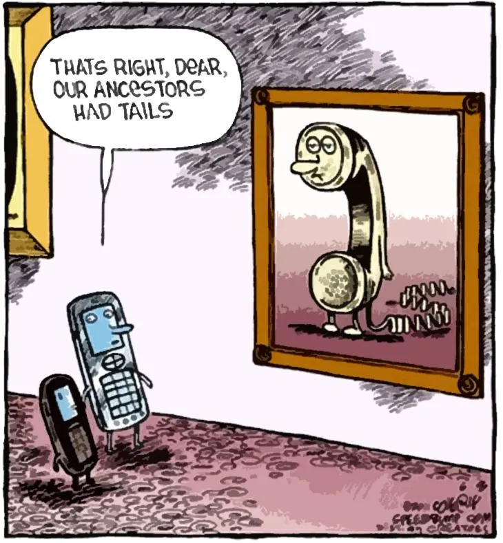 tails.webp