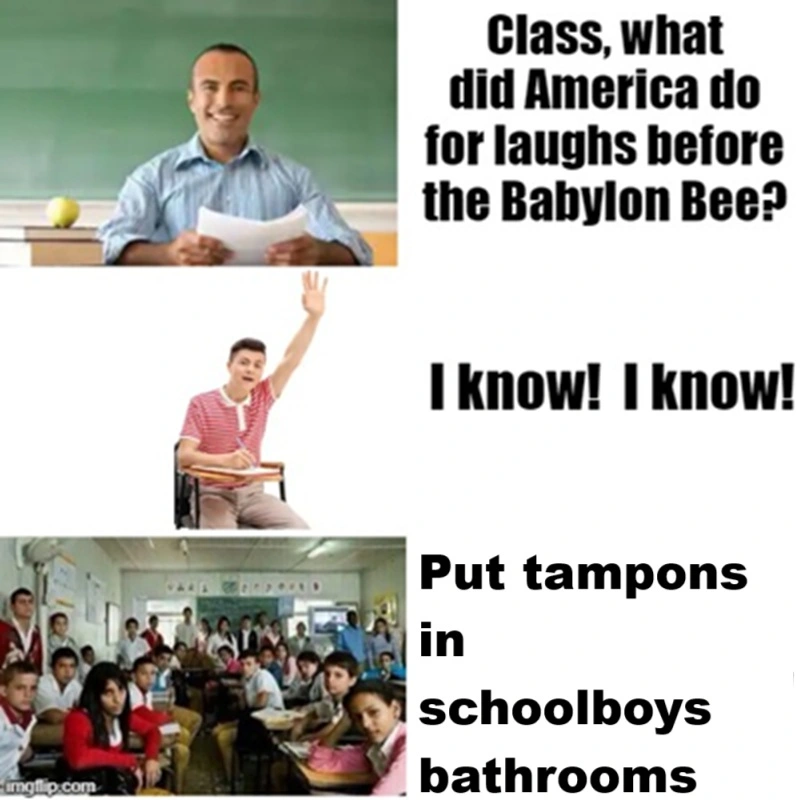 TAMPONS.webp