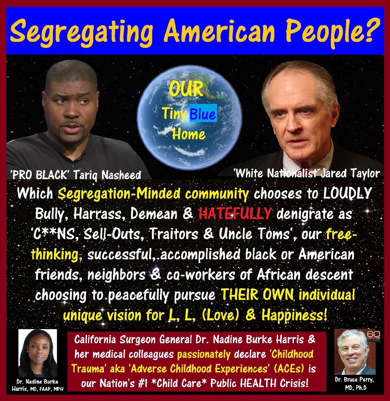 tariq nasheed, jared taylor segregation.webp