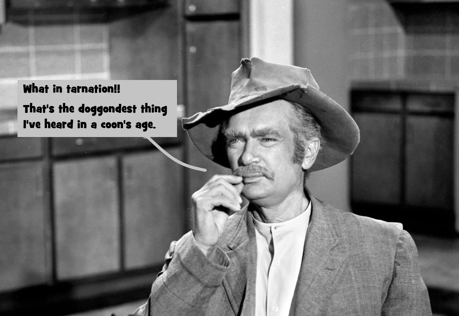 tarnation doggondest.webp