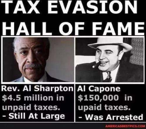 tax evasion HOF.webp