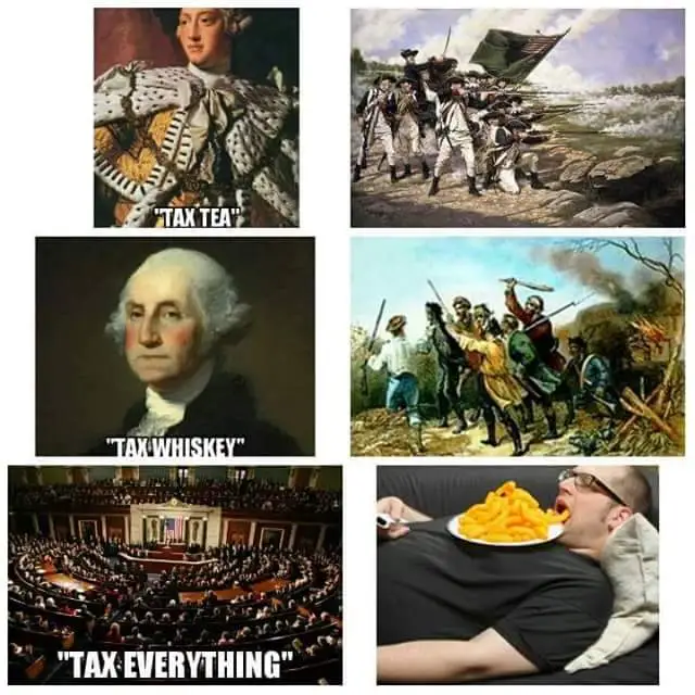 TaxEverything.webp
