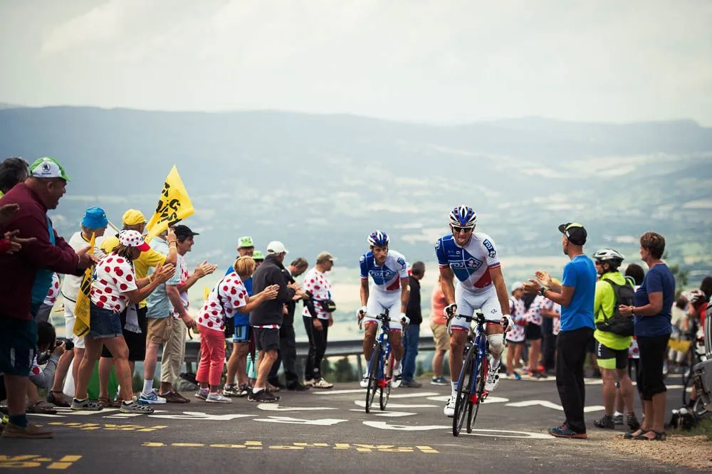 tdf.webp