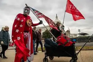 tds cul flipped enlarged.webp