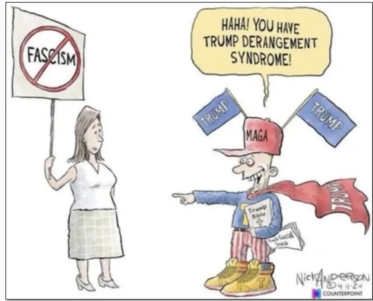 TDS Flag waver..webp