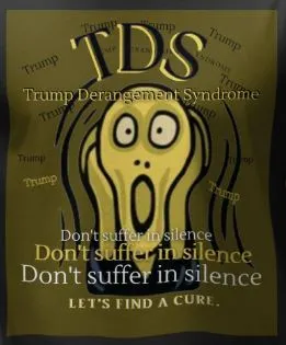 TDS Idiot.webp