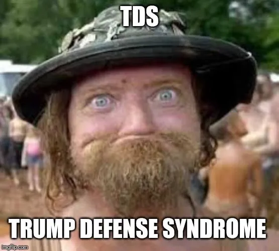 tds.webp