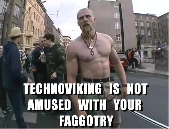 TechnoViking.webp