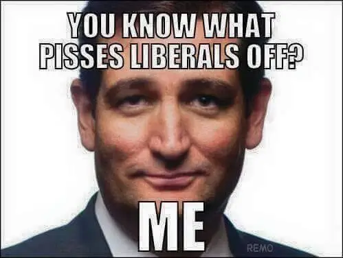 ted-cruz-pisses-off-liberals.webp
