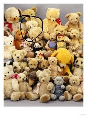 Teddys.webp