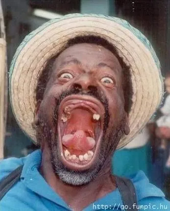 teef.webp