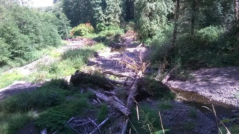 tenmile creek.webp