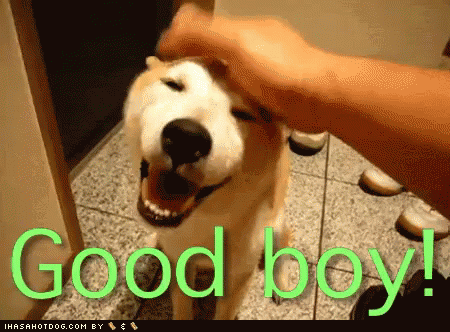 tenor (1).gif