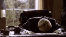 tenor (15).gif