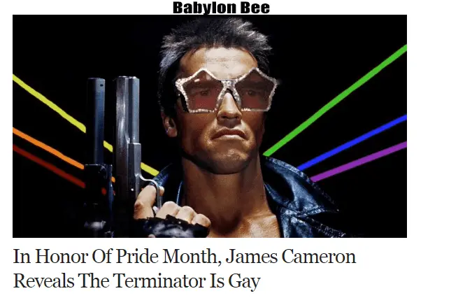 terminator gay.webp