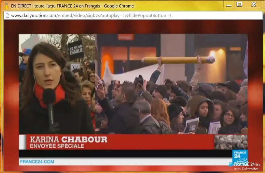 Terror grips france - Sunday DEMO 14.webp