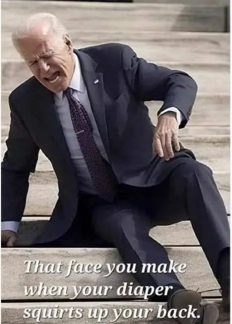 tfw your diaper squirts up your back.webp