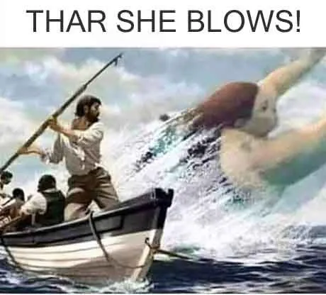 Thar she blows.webp