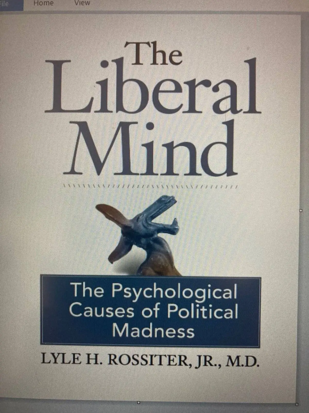 ``THE INSANE LIBERAL MIND.jpg