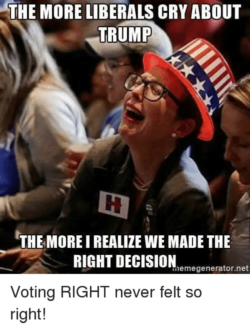 the-more-liberals-cry-about-trump-the-more-i-realize-12355146.webp