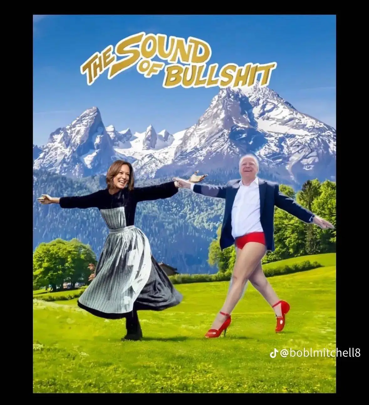 the sound of bullshit.webp