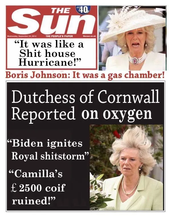 the sun2.webp