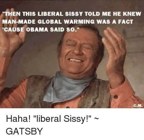 then-this-liberal-sissy-told-me-he-knew-man-made-global-26847909.webp